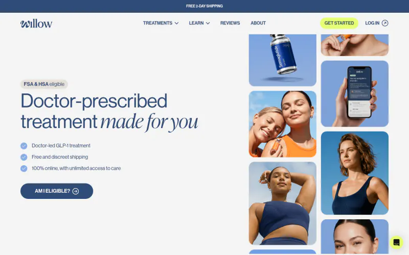 Willow home page screenshot