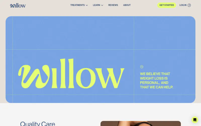 Willow website screenshot